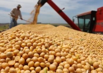 Minas Gerais terá recorde de produção de grãos na safra 2022/2023