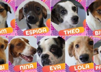 Programa Colab Cidadão abre avaliação do transporte público de Araxá