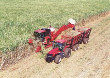 Exportações do agronegócio mineiro alcançam novo recorde, com US$ 15,3 bilhões em 2022