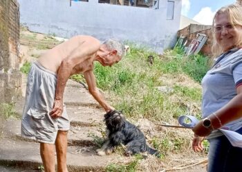 Vigilância Ambiental fiscaliza situação de cães que foram adotados no Canil Municipal de Araxá