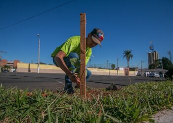Divulgada a lista de aprovados do Programa Casa do Pequeno Jardineiro 2023