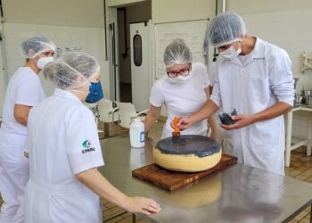 Inscrições para cursos superiores da Epamig terminam no dia 17 de fevereiro