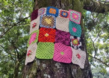 Fundação Cultural Calmon Barreto lança o projeto Acolhendo Árvores