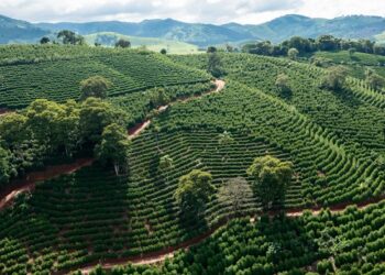 Exportações do agro mineiro alcançam US$ 1,8 bilhão no primeiro bimestre do ano