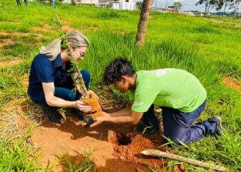 Áreas Verdes de Araxá passam por recuperação com projetos específicos
