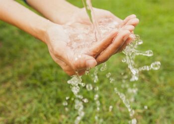 Semana da Água em Araxá promove mutirão de limpeza e plantio de mudas na Matinha do bairro Francisco Duarte
