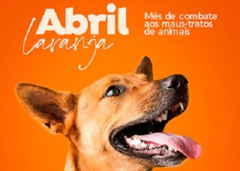 Abril Laranja reforça importância da prevenção contra a crueldade animal