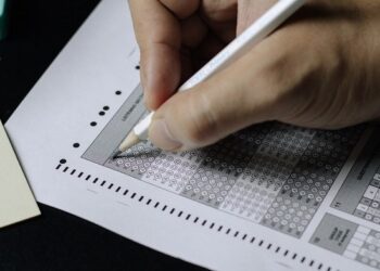 Instituto Mineiro de Agropecuária abre seleção para 132 vagas no Estado