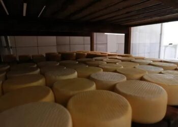 Instituto dá início a projeto de registro dos modos de fazer dos Queijos Artesanais de Minas, com agenda em Araxá