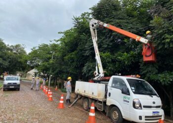 IPDSA promove capacitação para servidores públicos que realizam podas e cortes de árvores