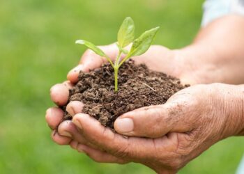 Abertas as inscrições para interessados em participar o Projeto Fosfogesso 2023 em Araxá