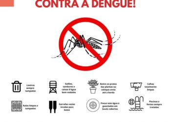 Sacramento tem mais de 500 notificações de casos de dengue e 43 pacientes positivos