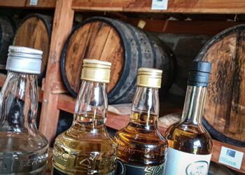 Dia da Cachaça Mineira: Secretaria de Agricultura lança série de vídeos sobre a produção artesanal em alambiques