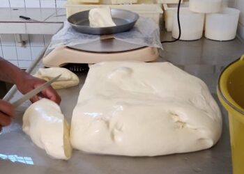 Dia dos Queijos Artesanais de Minas Gerais: Estado trabalha para reconhecimento do Queijo Cozido