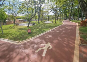 Pesquisa mostra importância de áreas verdes urbanas para a saúde