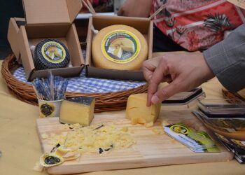 Produtores mineiros se preparam para participar da ExpoQueijo Brasil 2023