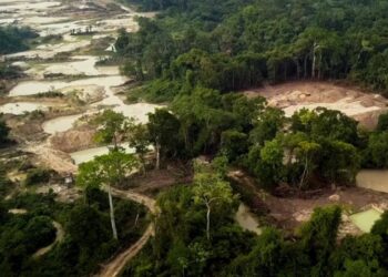 Tecnologia internacional pode ser solução para ajudar a combater atividades ambientais ilegais pelo Brasil