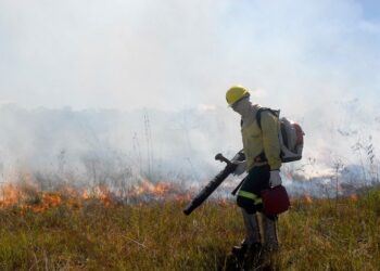 Governo de Minas intensifica ações para coibir incêndios criminosos