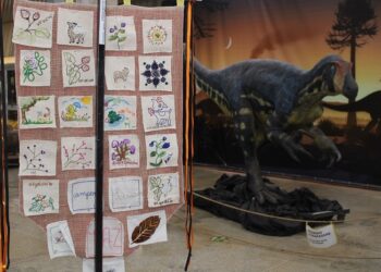 Bordados produzidos por tecelãs da Fundação Cultural Calmon Barreto serão expostos em 14 países