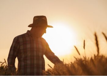 Secretaria de Agricultura de Araxá cadastra produtores pro Programa Nacional de Crédito Fundiário