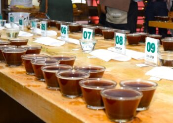 Começam as inscrições para o Concurso de Qualidade dos Cafés de Minas Gerais de 2023