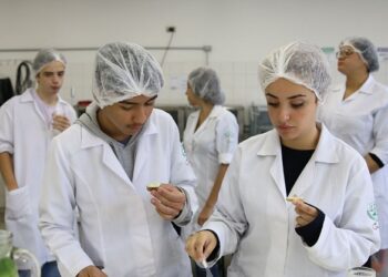 Pesquisa defende expansão dos cursos técnicos no Brasil