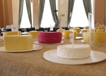 ExpoQueijo Brasil: prorrogadas as inscrições para o Concurso Internacional