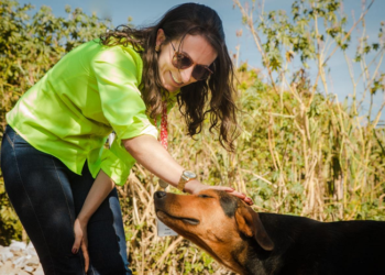 Mais de 390 cães e gatos foram adotados em iniciativa da Mosaic Fertilizantes