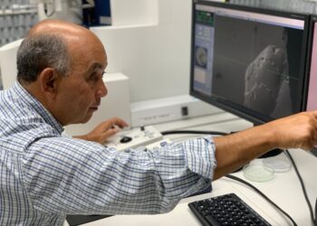 CBMM anuncia os vencedores do Prêmio CBMM de Ciência e Tecnologia 2023