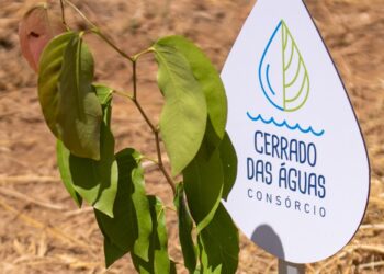 Federação dos Cafeicultores do Cerrado apoia o projeto “Investidores pelo Futuro” no mês do Dia Nacional do Cerrado