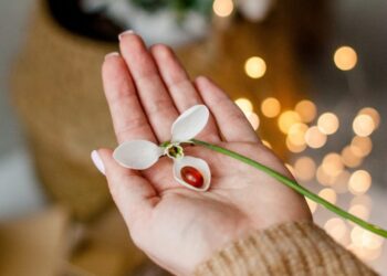 A endometriose e a menopausa: médica tira dúvidas comuns entre as mulheres