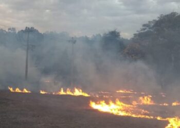 Queimadas prejudicam mais de 54 mil clientes da Cemig nos primeiros sete meses de 2023