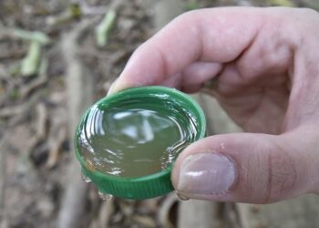 Combate à dengue: Tapira realiza mutirão para recolher materiais que acumulam água