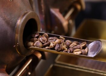 Região do Cerrado Mineiro sedia maior evento de torrefação no Brasil