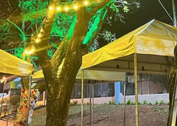 Falta pouco! Montagem do projeto ‘Batatinha Quando Nasce’ começa na Fundação