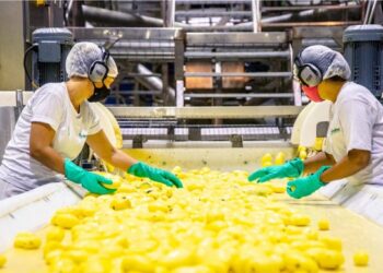 Bem Brasil é reconhecida em 5° lugar na categoria Alimentos e Bebidas no Prêmio Melhores e Maiores da Revista Exame