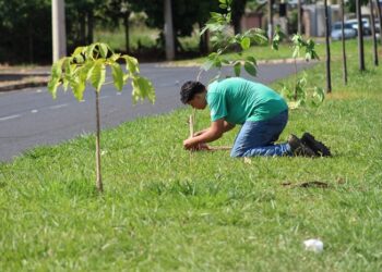 IPDSA e Casa do Pequeno Jardineiro realizam plantio de 60 árvores na avenida João Moreira Salles