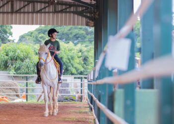 Mais de 140 crianças e adolescentes são atendidos pela Equoterapia Prosseguir com apoio do Poder Executivo