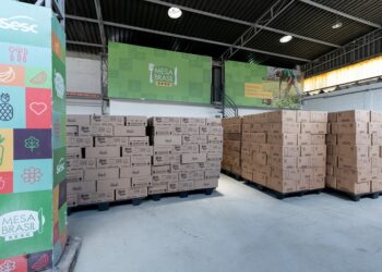 Campanha Natal Solidário do Sistema Fecomércio MG arrecada alimentos e brinquedos pelo Mesa Brasil