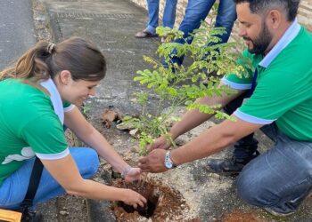 Mais de 3.500 árvores foram plantadas em vários pontos de Araxá no ano de 2023