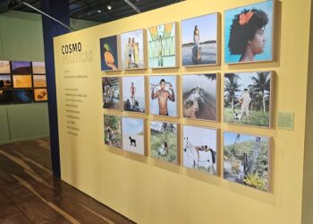 Exposições e oficinas nos espaços da Fundação Cultural Calmon Barreto são ótimas opções para conhecer e participar durante as férias