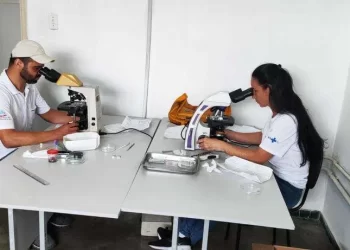 Levantamento aponta alto risco de infestação por Aedes aegypti em Patos de Minas