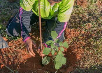 Ação Social de Araxá divulga lista de classificados para o Pequeno Jardineiro 2024