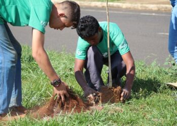 Ação Social de Araxá divulga resultado final dos classificados para o Pequeno Jardineiro 2024