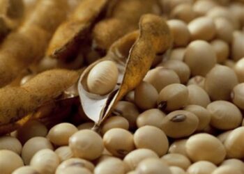 Exportações do agronegócio mineiro estreiam 2024 com novo recorde e somam US$ 1,1 bilhão em janeiro