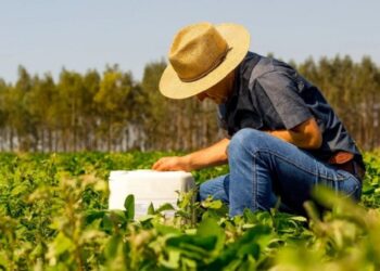 Secretaria de Agricultura e Pecuária de Araxá disponibiliza apoio técnico para impulsionar produtividade