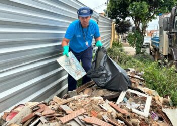 Mutirões de limpeza, recolhimento de materiais e blitze educativas marcam Dia D de Combate à Dengue