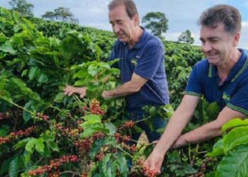 Exportações de café mineiro para a China crescem quase 4.000% em 10 anos