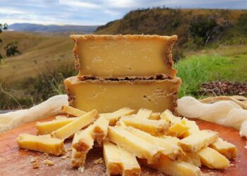 ExpoQueijo Brasil: experiência inédita vai analisar a influência do terroir nos queijos com denominação