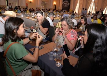 ExpoQueijo Brasil: jurados nacionais e internacionais se preparam para o maior concurso das Américas